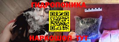 Альфа ПВП Кингисепп