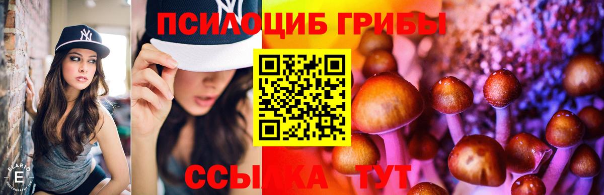 Псилоцибиновые грибы GOLDEN TEACHER Королёв